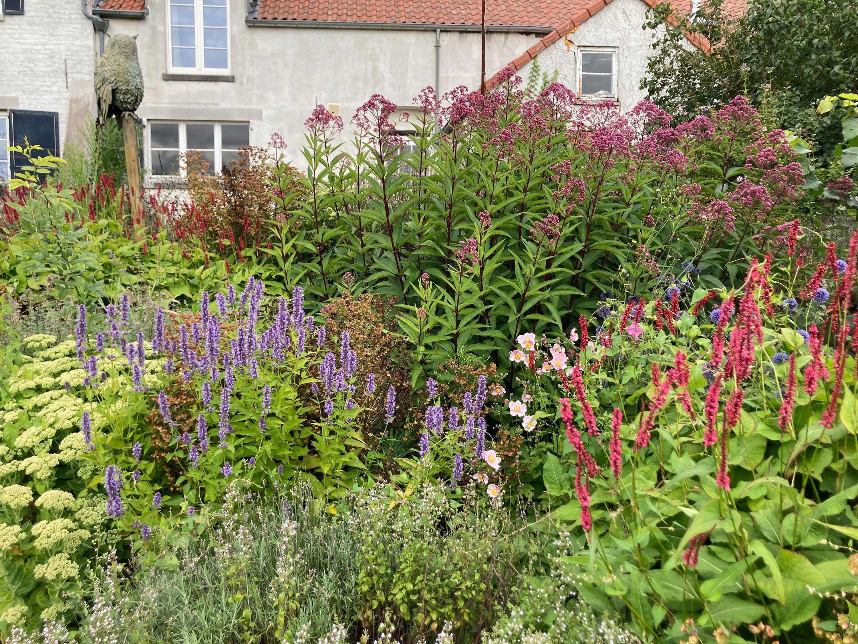 Jardin Gaillemarde