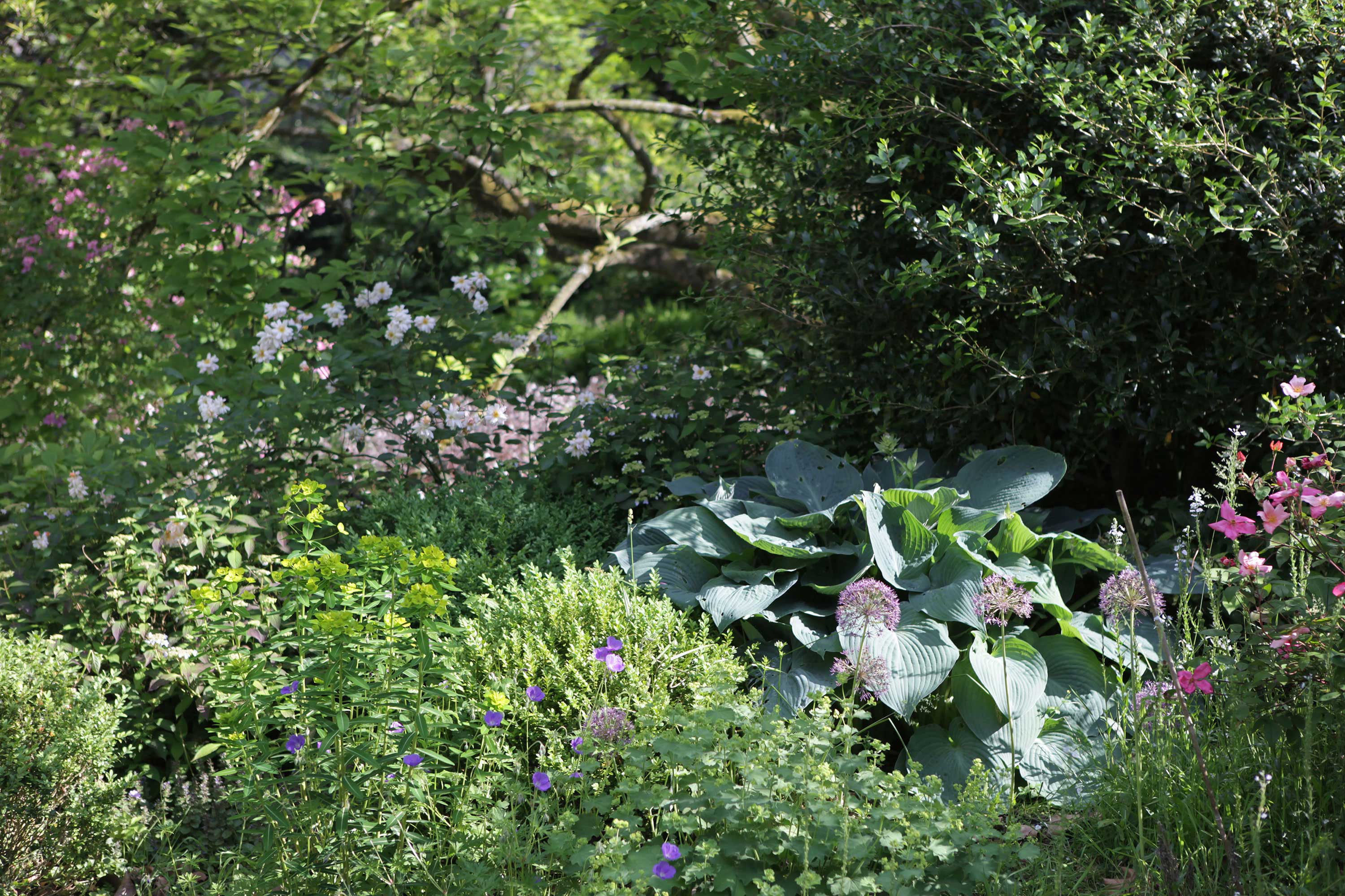 Jardin sur les toits